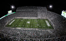 Load image into Gallery viewer, Michigan State Spartans&#39; home football field at Spartan Stadium
