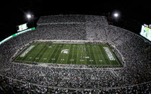 Load image into Gallery viewer, Michigan State Spartans&#39; home football field at Spartan Stadium
