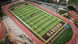 St. Francis Golden Knights High School Custom Set